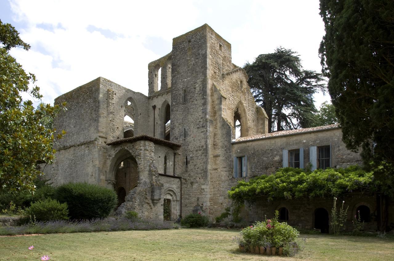 Abbaye De Villelongue Saint-Martin-le-Vieil Εξωτερικό φωτογραφία